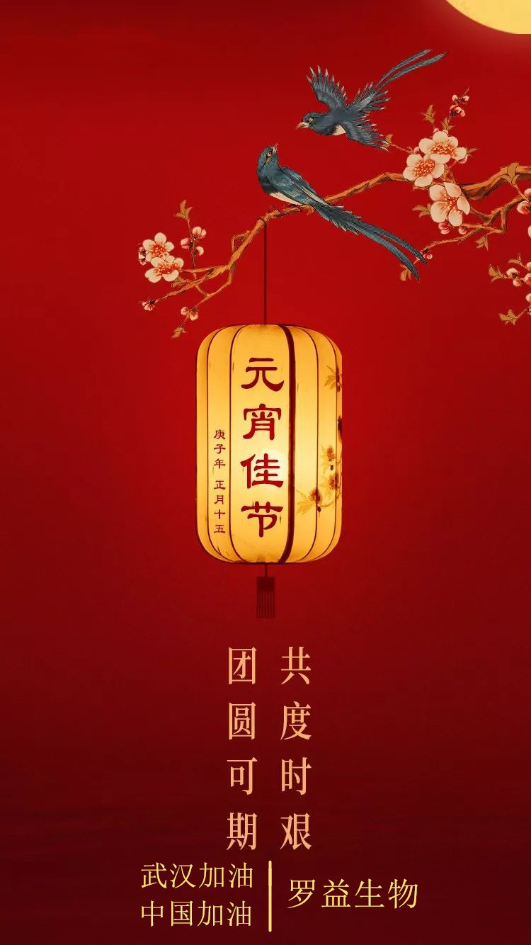 罗益生物元宵宣传.jpg